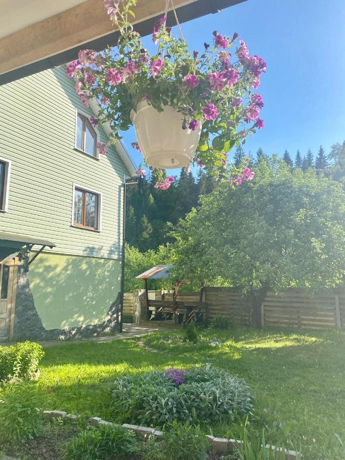 Hotel Medova Hata Verkhnyaya Rozhanka Zewnętrze zdjęcie